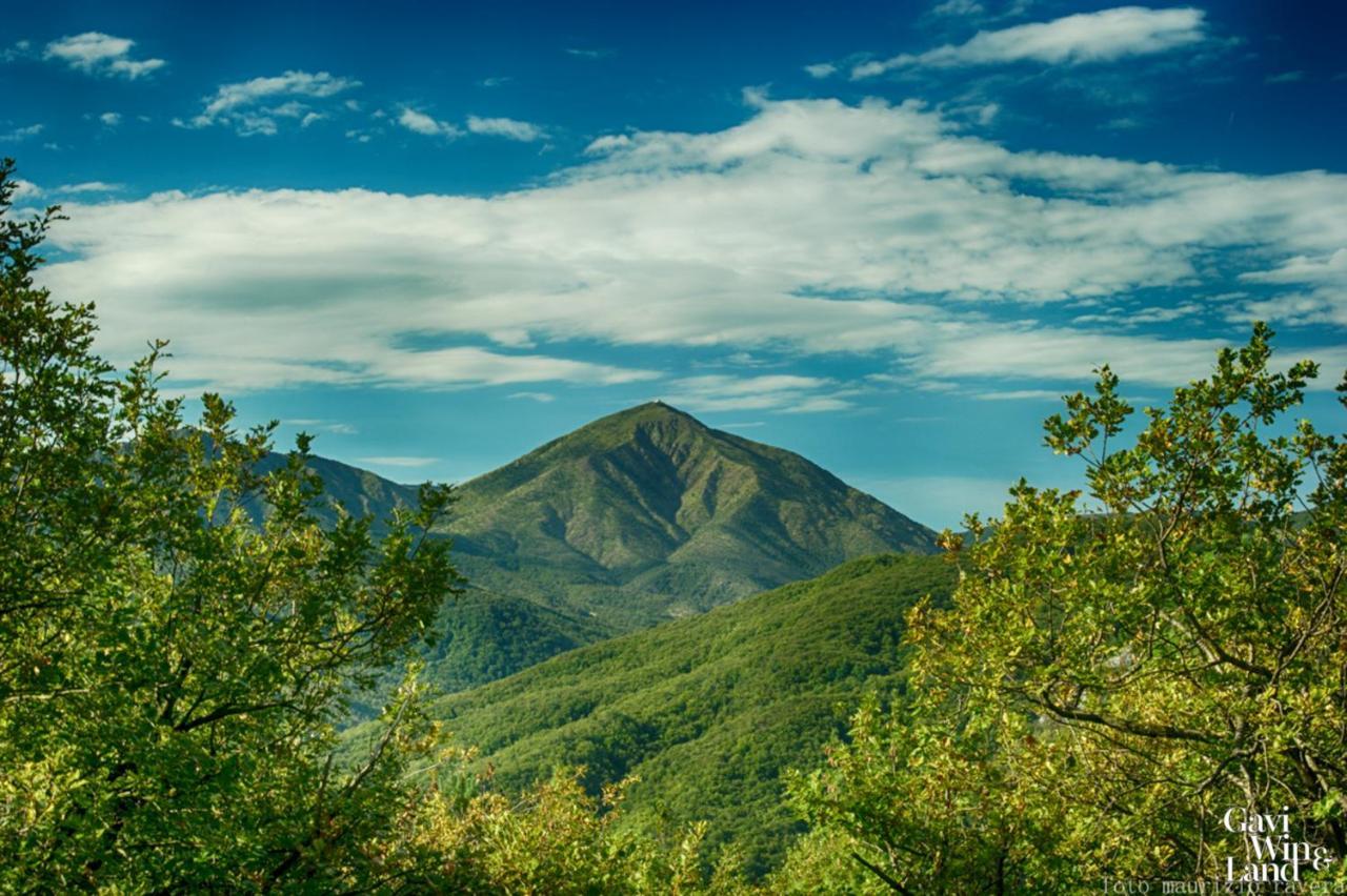 B&B Treinin Ґаві Екстер'єр фото